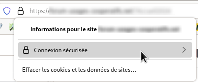 Fichier:Informations site.png